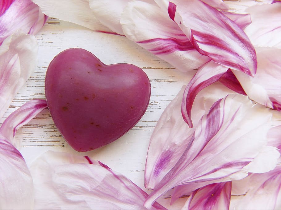 purple, heart, miniature, table, soap, pink, peony, flowers, paeonie, wellness