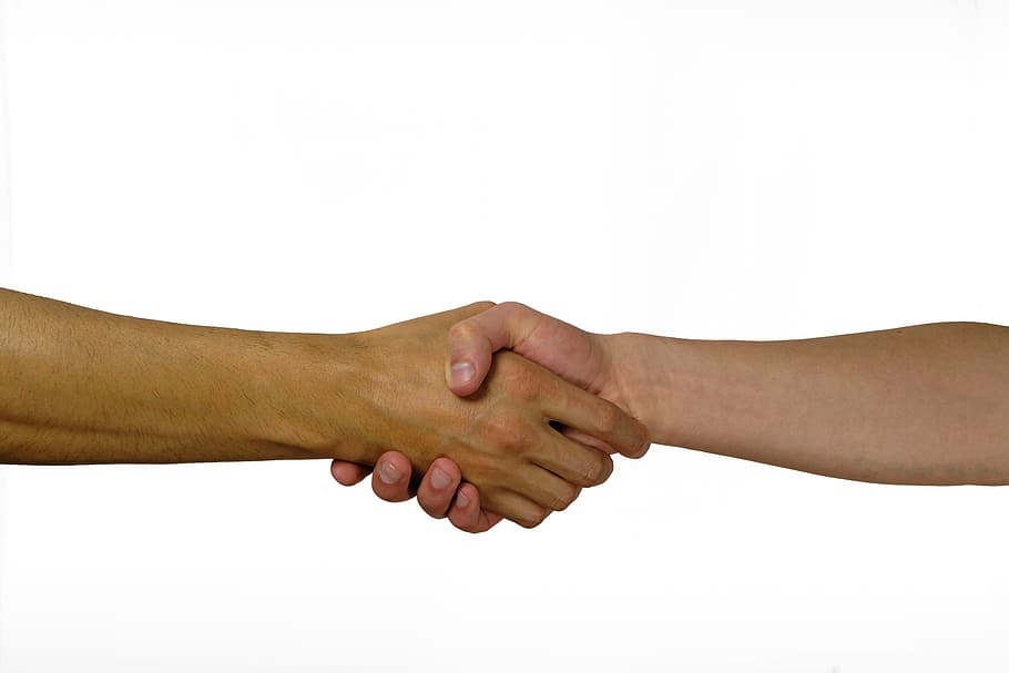 shaking hands, hands, welcome, greeting, hand, contract, agree, unity, promise, handshake