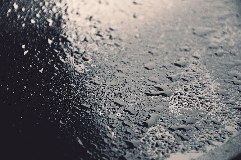 untitled, blacktop, water, backgrounds, close-up, window, day, indoors, nature, wet