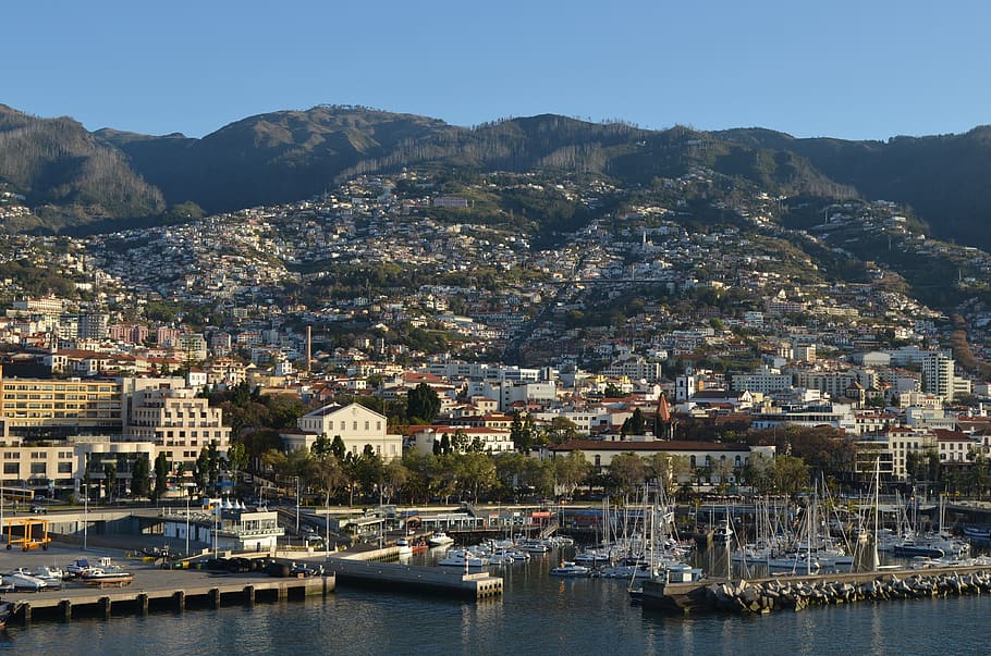 Madeira, Puerto, Portugal, Funchal, mar, vacaciones, paisaje, costa, naturaleza, océano