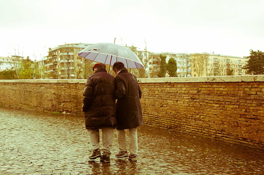 two, person, holding, umbrella, walking, rain, old people, elderly, couple, 70 years