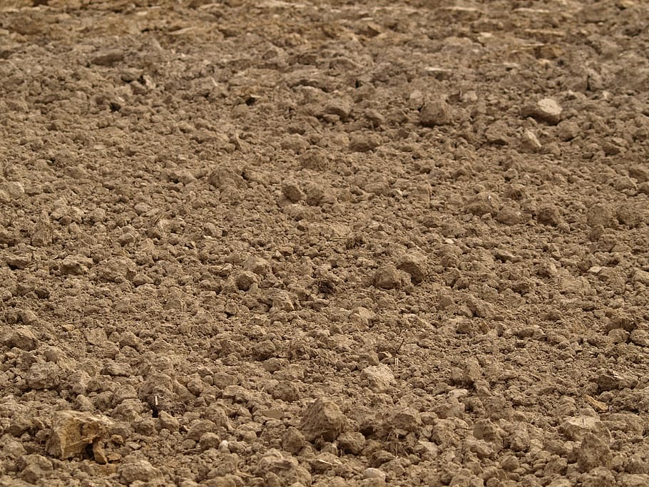 brown dirt, Earth, Soil, Arable, Field, Agriculture, arable, field, backgrounds, brown, full frame