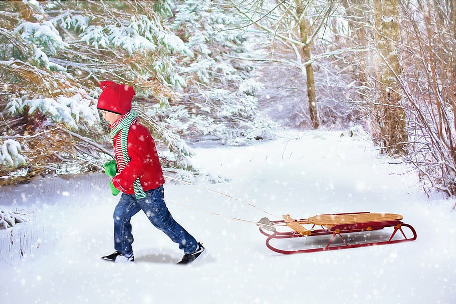 child, red, long-sleeved, winter, top, pulling, brown, snow sled, winter background, christmas background