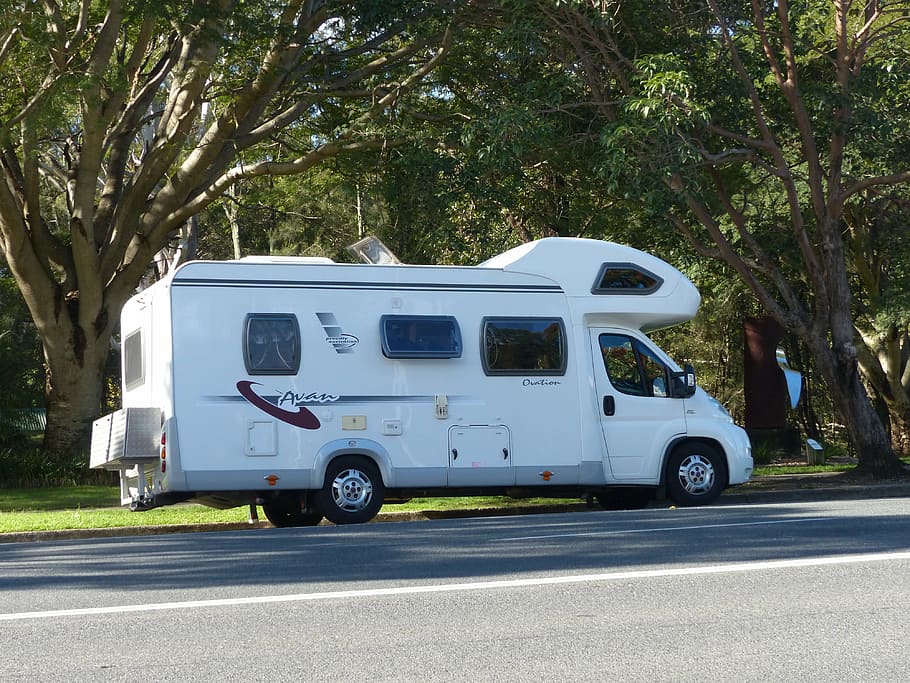 white, class-b motor home, tree, motorhome, camper, holiday, travel, camping, transportation, road