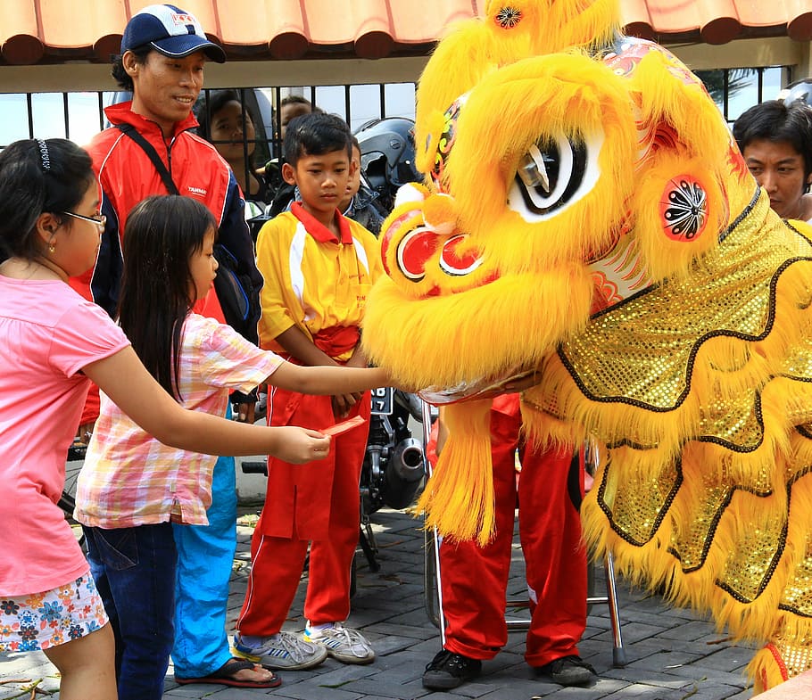 chinese, new year, celebration, dragon, traditional, culture, symbol, people, children, group of people