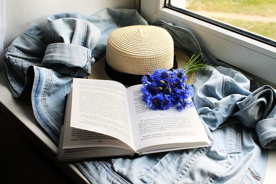 reading, books, hobby, vacation, bibliophile, cornflowers, flowers of the field, flower, plants, hat