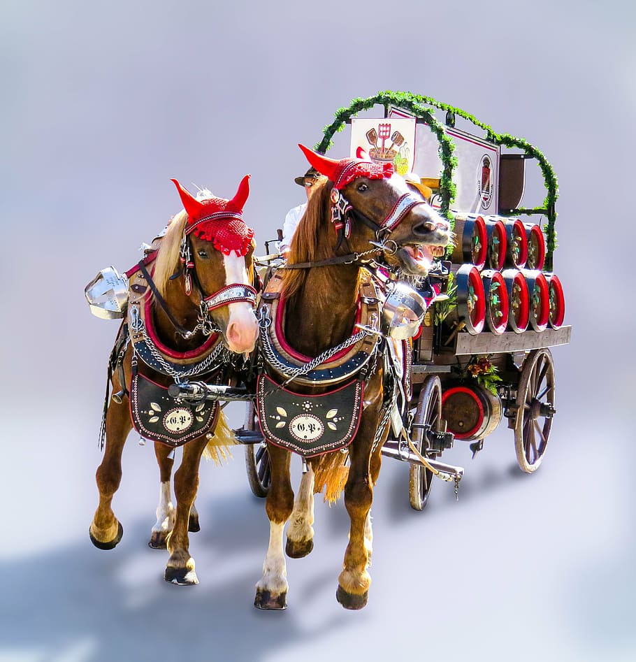brown, white, horse, transport, coach, horses, horse drawn carriage, beer carriage, beer, barrel