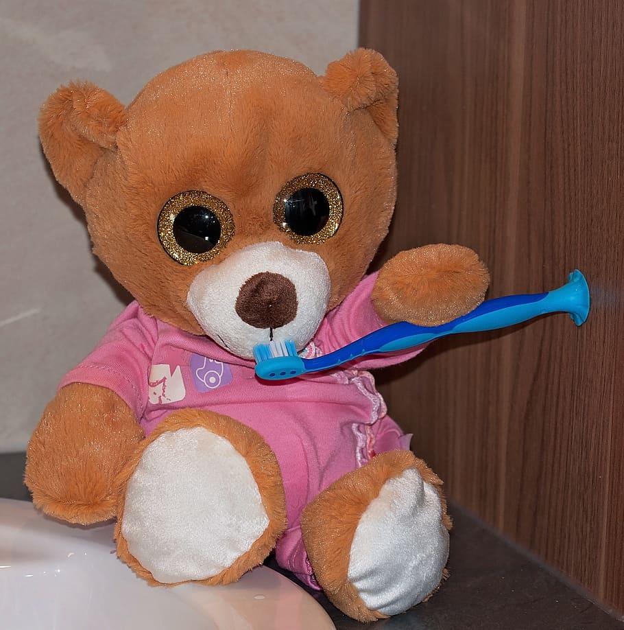Teddy Bear, Stuffed Animal, Toys, bear, toothbrush, brushing teeth, soft toy, bears, toy, cute