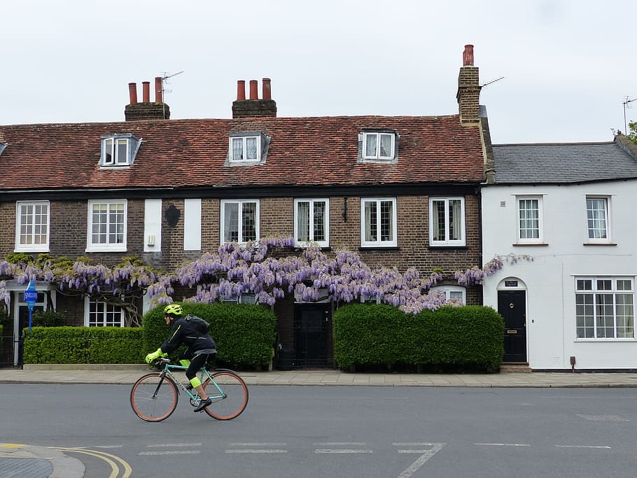Bike, Cyclist, High Street, Street, Road, road, architecture, english house, victorian house, street, building