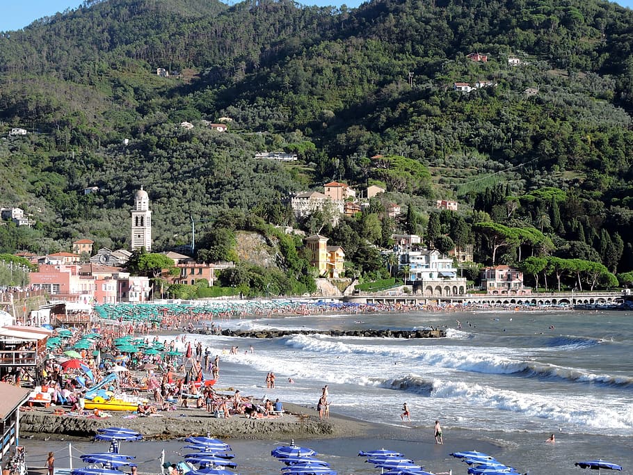 beach, levanto, sea, italy, liguria, umbrellas, campanile, waves, water, tree