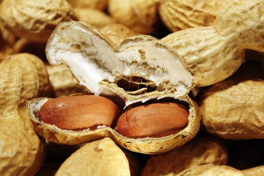brown peanuts, peanuts, nuts, snack, nutrition, healthy, nibble, decoration, close, knabberzeug