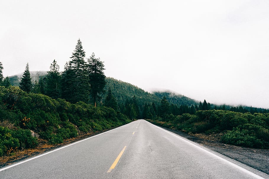 grey, asphalt road, green, trees, photograph, road, forest, country, grass, hills
