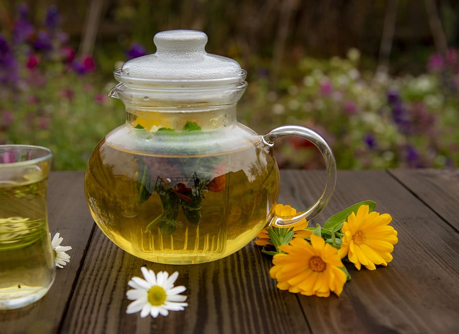 chá, calêndula, de ervas, bebida, flores, relaxamento, tradicional, alternativa, nutrição, útil