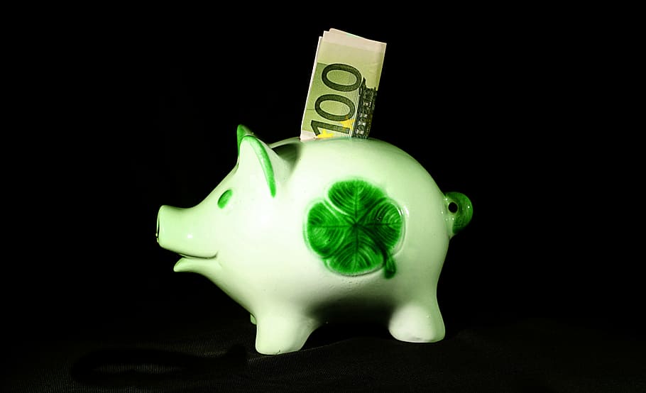 4-leaf, clover, piggy, bank, 100, banknote, inserted, money, save, sparscwein