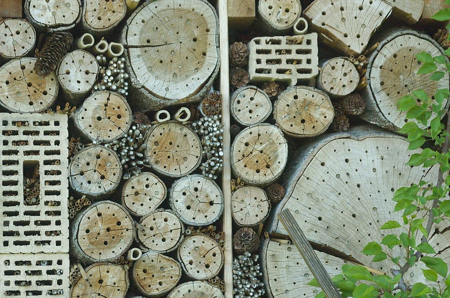 insect hotel, insect house, insect asylum, insects wall, insect box, circle, large group of objects, geometric shape, directly above, shape