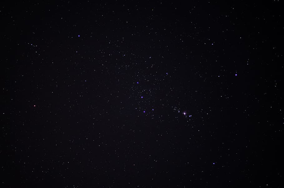 orion, stars, constellation, space, universe, astronomy, star - space, night, sky, galaxy