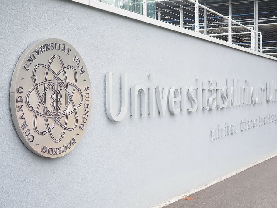 university ulm, emblem, logo, lettering, wordmark, figurative mark, logo of the university ulm, university, umbrella brand, natural sciences