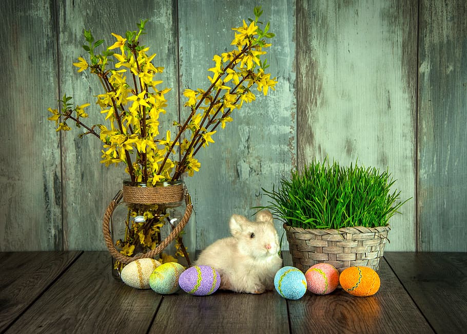 conejito, en maceta, plantas, decoración de huevos de pascua, conjunto, pascua, feriado, liebre, huevos de pascua, huevos