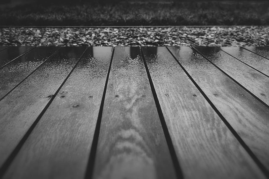 grayscale photo, wood planks, wood, deck, terrace, wet, raining, black and white, wood - material, nature