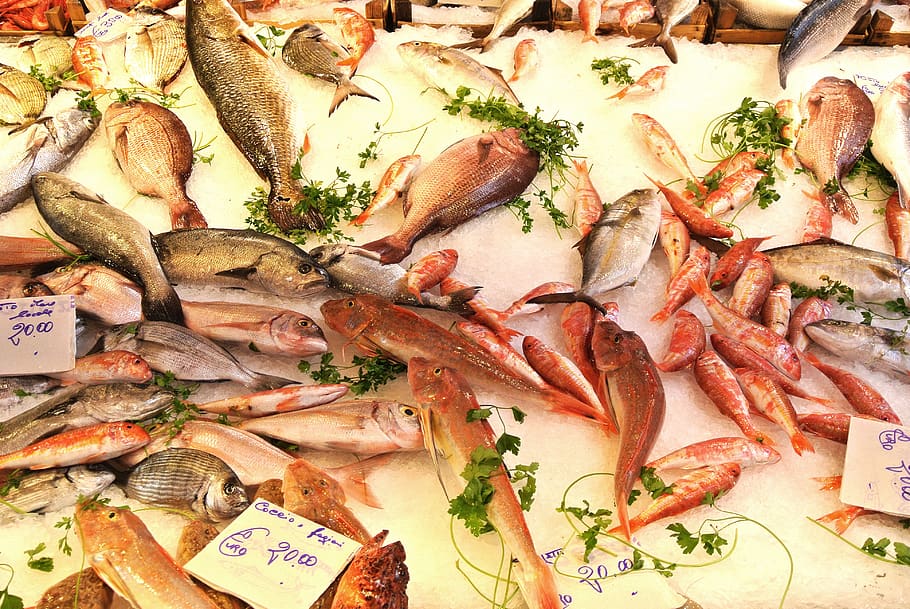 fish, market, italy, palermo, sicily, food, fresh, sea, fish market, seafood