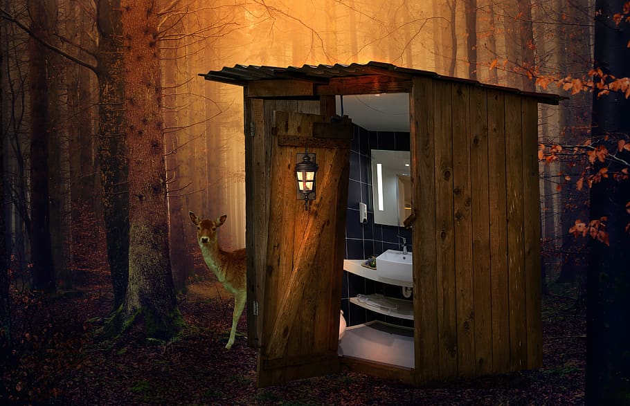 forest, wc, toilet, loo, wood, toilet cabin, tree, outdoor, need, outhouse