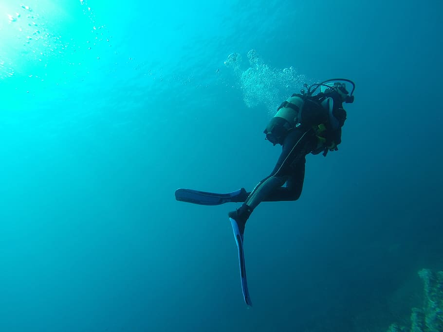 foto, penyelam scuba, menyelam, laut, air, penyelam, biru, kapal selam, botol, scuba diving