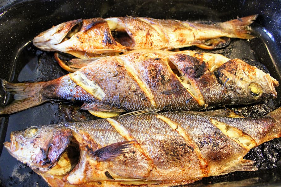 peixe, forno assado robalo, saboroso, comida e bebida, Comida, frescura, frutos do mar, close-up, bem-estar, carne
