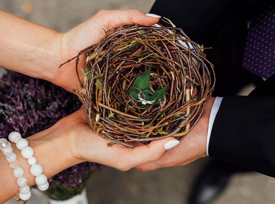 wedding, jack, ring, human hand, hand, human body part, holding, real people, animal nest, people