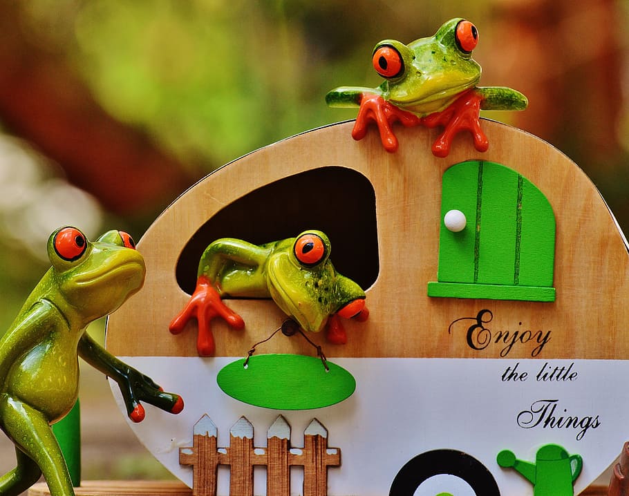 frogs, caravan, funny, travel, luggage, trolley, holidays, holiday, welcome, cute