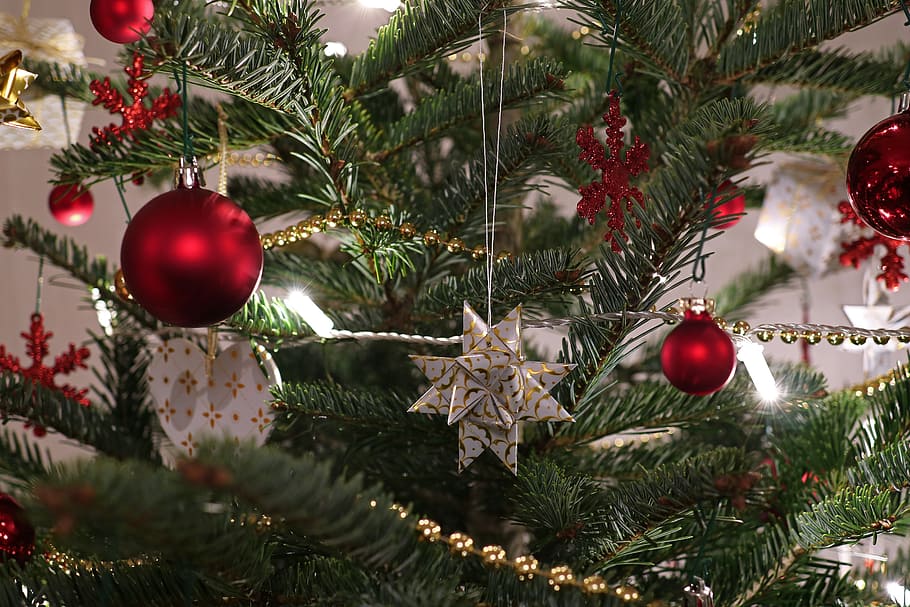 verde, árbol de navidad, rojo, fotografía de primer plano de adornos, navidad, decoraciones para árboles, adornos navideños, weihnachtsbaumschmuck, bolas de navidad, bola