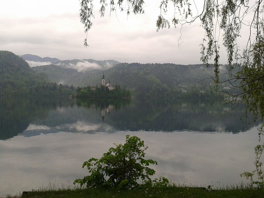 sangrado, eslovénia, montanhas, árvore, agua, plantar, lago, reflexão, céu, tranquilidade