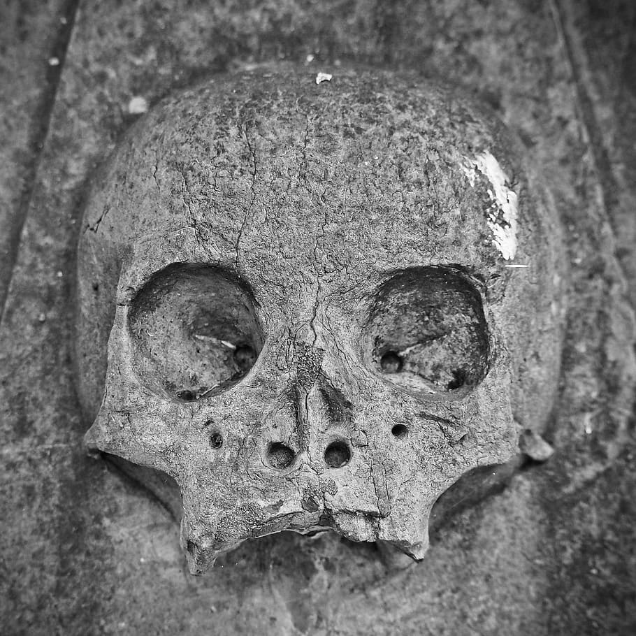cráneo y tibias cruzadas, lápida, mística, espeluznante, gris, extraño, cementerio, conspiración, antiguo cementerio, misticismo