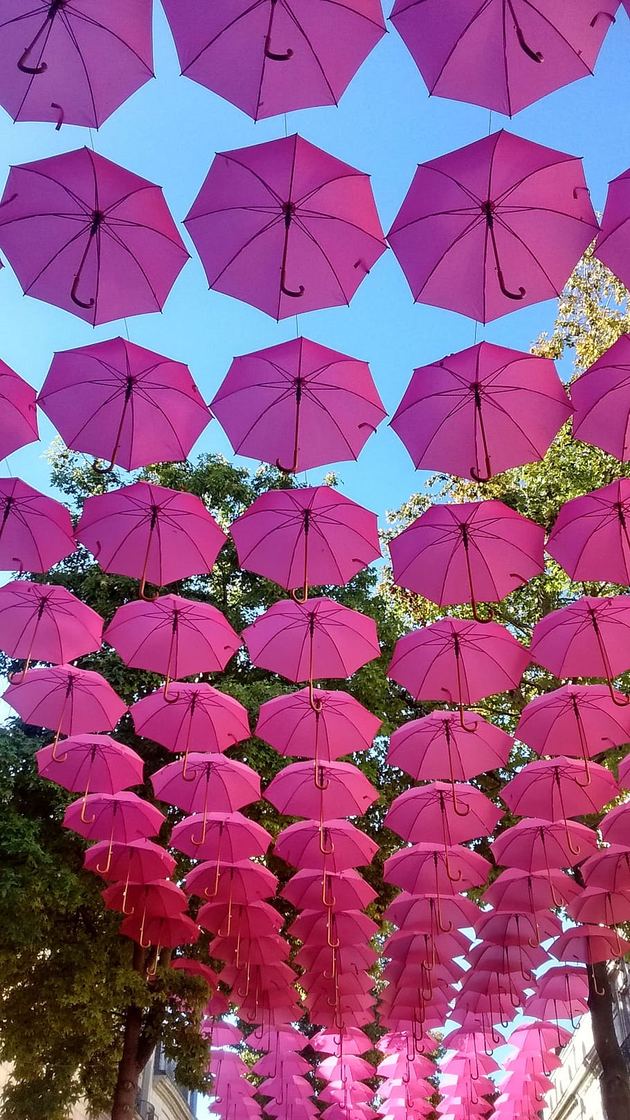 pink, parrapluie, umbrella, land-art, artistic, street-art, pink color, plant, nature, low angle view