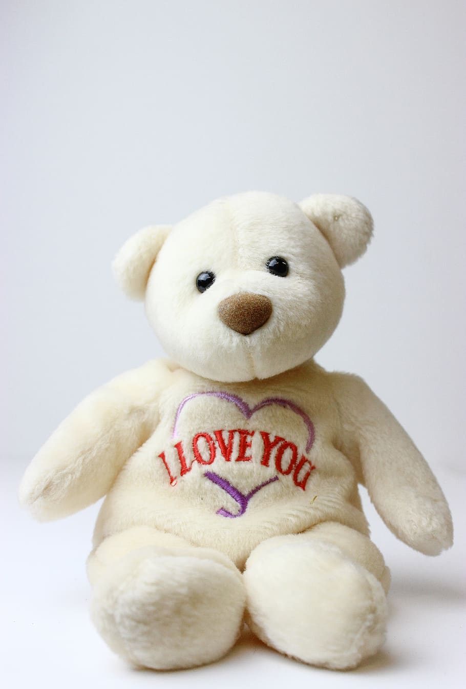 teddy bear, beanie baby, bear, i love you, teddy, beanie, adorable, white, cute, plush toy