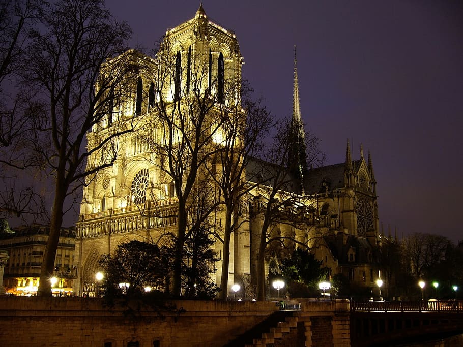Iglesia de hormigón blanco, Notre Dame, París, Francia, Europa, noche, ciudad, catedral, exterior del edificio, arquitectura