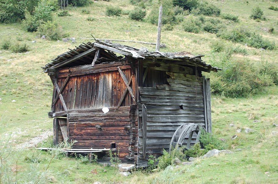 shack, cabin, mountains, land, abandoned, architecture, built structure, old, building exterior, plant