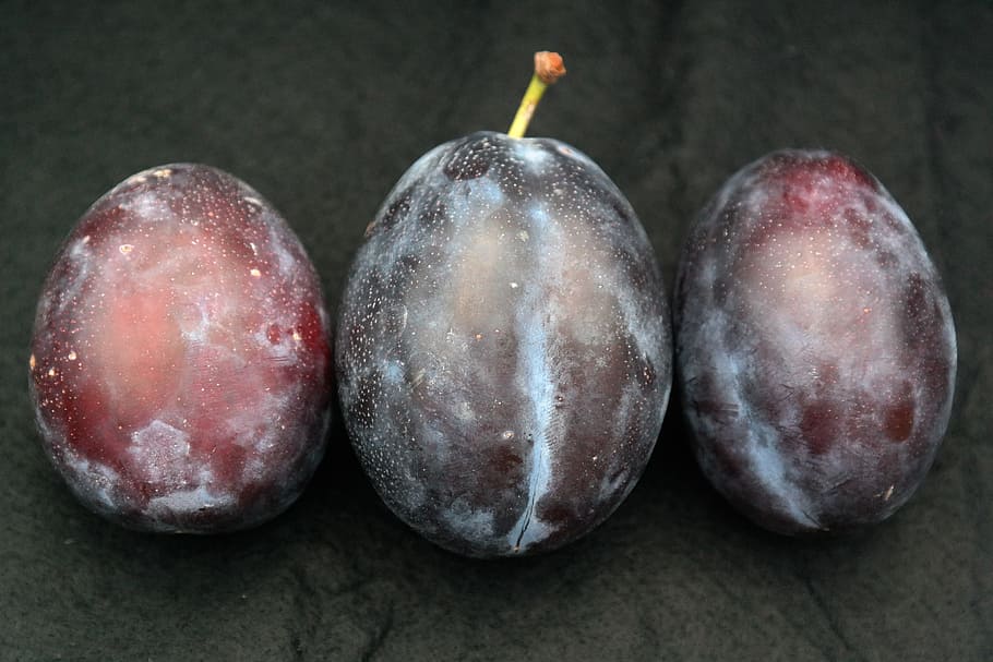 real plum, plum, fruit, prunus domestica subsp domestica, prunus domestica, cultural plum, prunus, blue black, blue, purple by