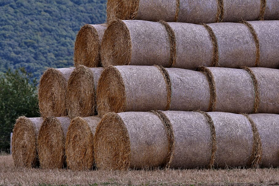 Royalty-free rolls of straw photos free download.