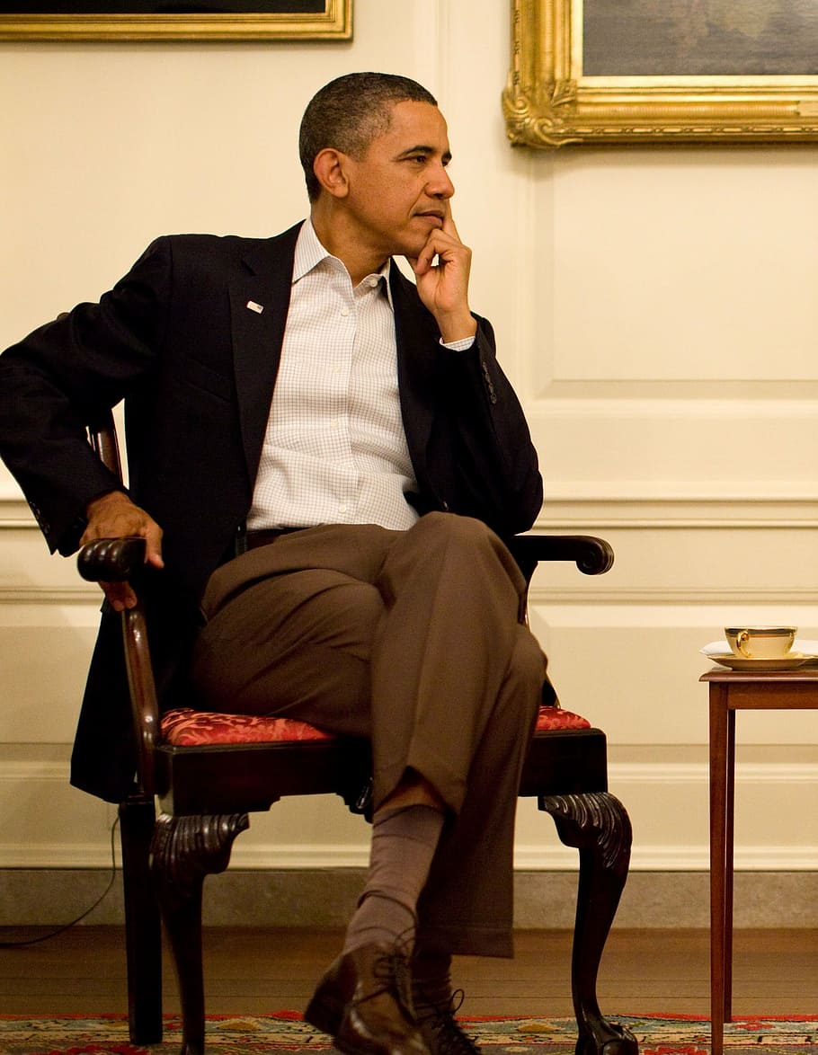 バラクオバマ, 座っている, 茶色, 木製, アームチェア, 2011, 思いやりがある, デコントラテ, ポートレート, 公式写真