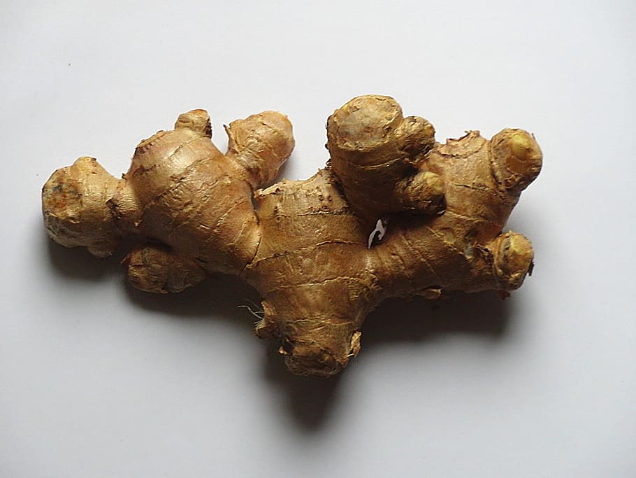 ginger, ginger root, cure, healthy, natural remedies, food, ginger plant, studio shot, food and drink, white background