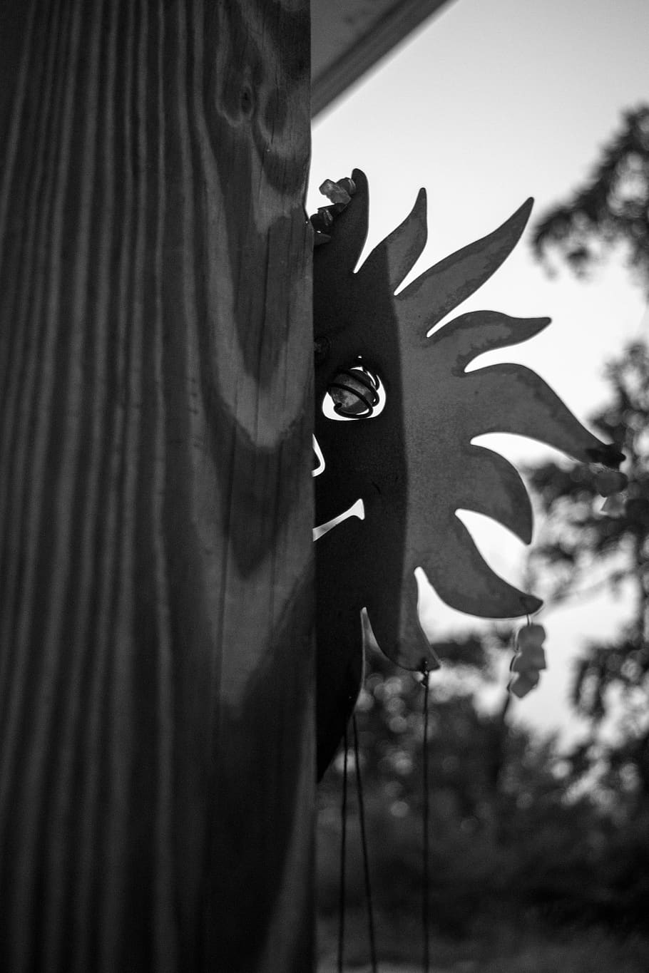 sun, black and white, wind chime, grayscale, creepy, dusk, plant, close-up, focus on foreground, nature