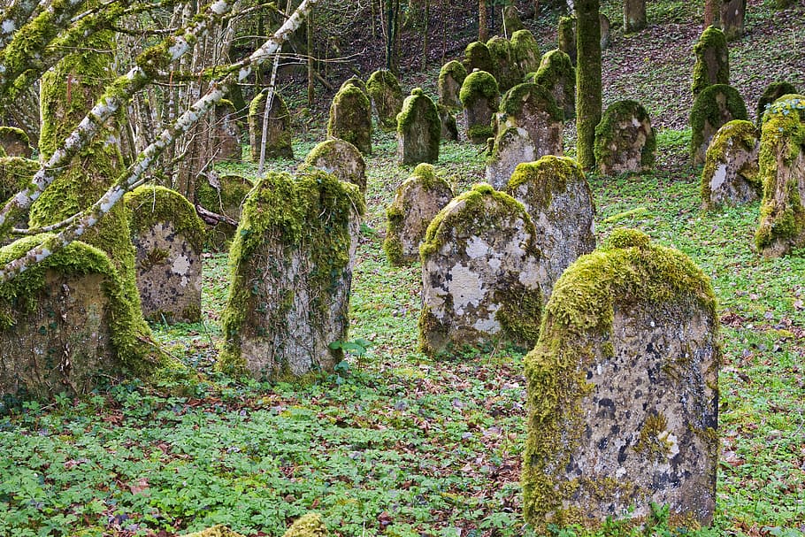 gravestones, covered, moss, grave stones, jewish cemetery, old, cemetery, forest, hill, slope