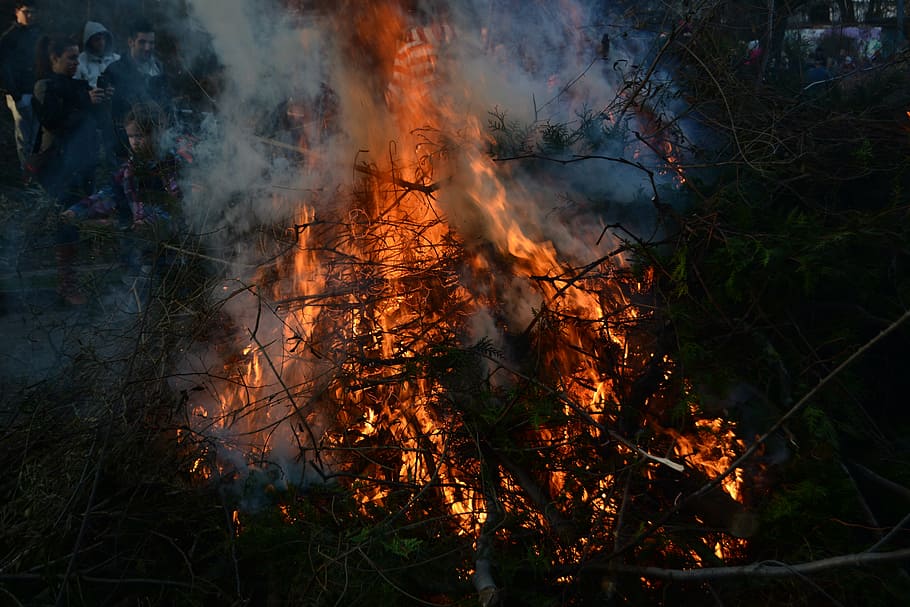fogo de páscoa, ramos, folhas, fogo, verde, páscoa, queima, fogo - fenômeno natural, terra, calor - temperatura