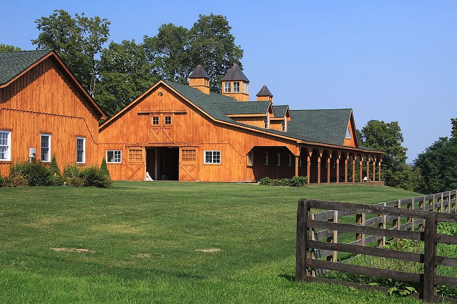 house, grass lawn, surrounded, trees, Horse Stable, Horse Barn, stable, barn, ranch, foaling barn