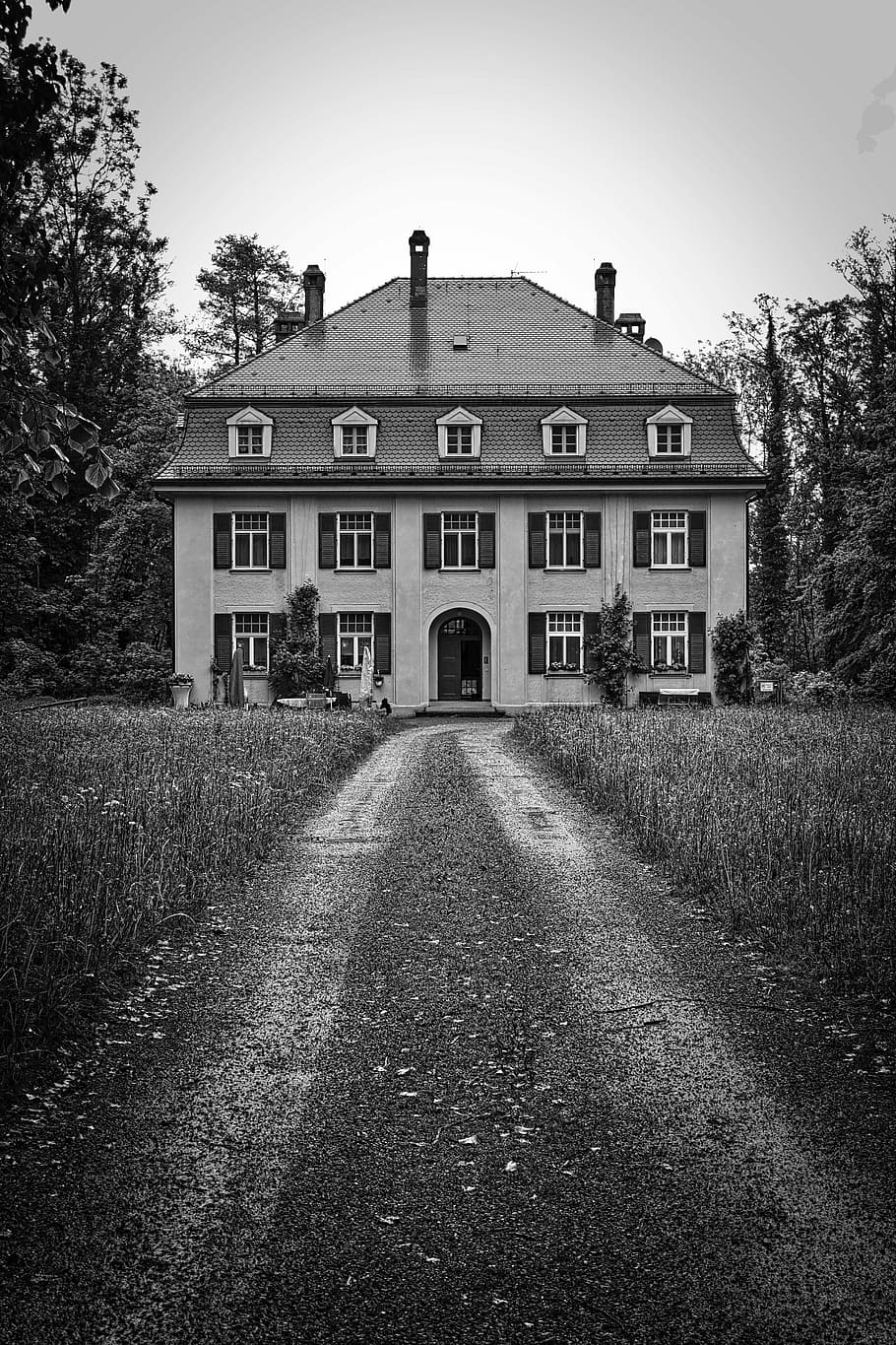 grayscale photo, house, surrounded, trees, residence, estate, perspective, driveway, front of house, exterior home