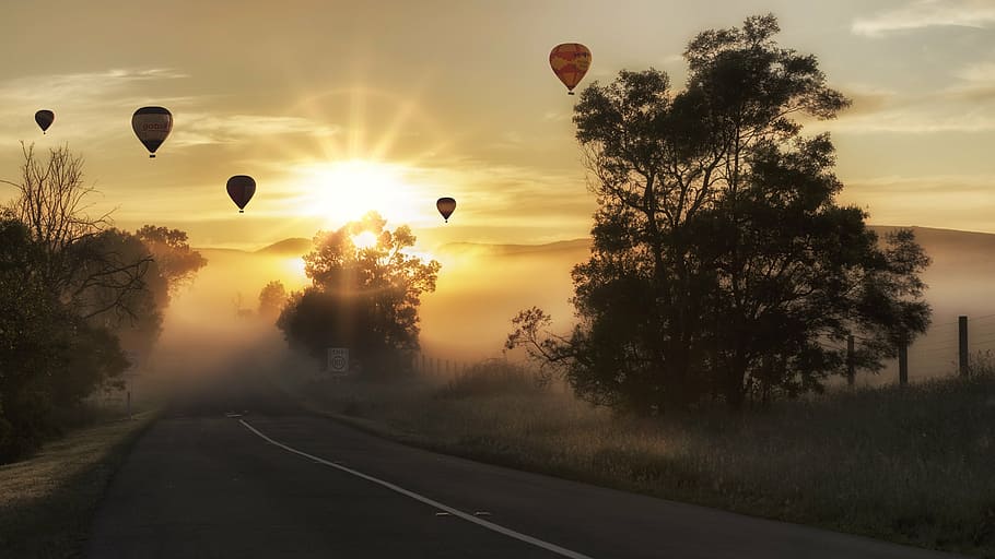 balões de ar quente, concreto, estrada, árvores, dourado, hora, balão, ar quente, paisagem, balão de ar quente
