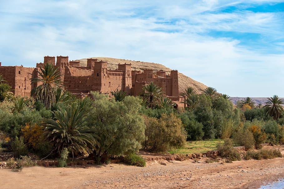 ajt bin haddu, marrocos, passeio, plano cinematográfico, turismo, localização, viagens, áfrica, assentamento, palmeiras