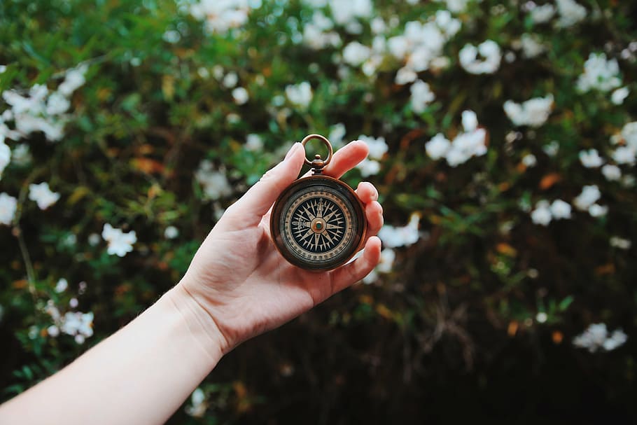 person holding compass, green, plants, flower, nature, blur, hand, palm, arm, watch