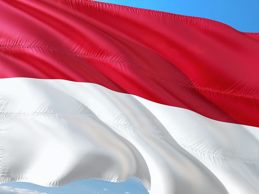 red, white, flag, international, indonesia, wind, white color, environment, textile, nature