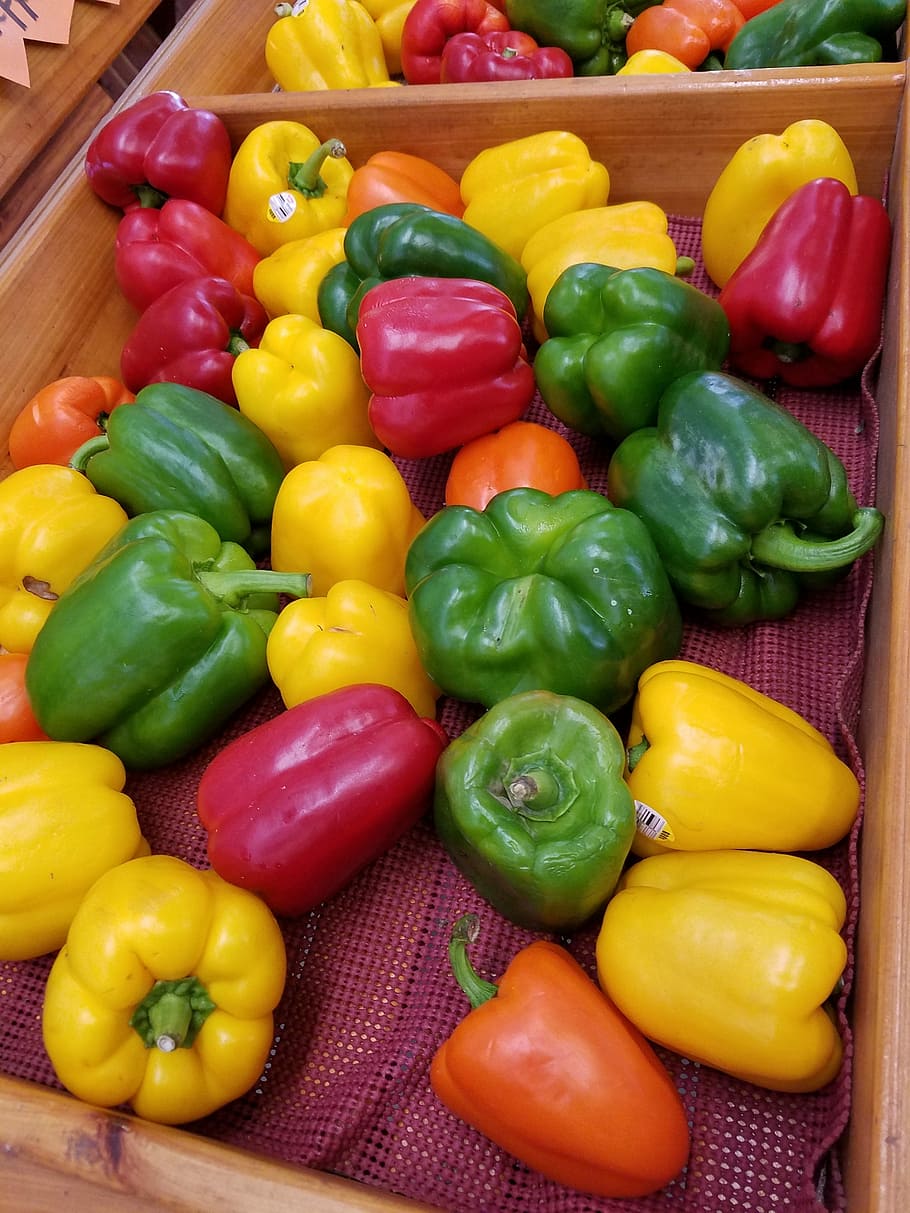 red, peppers, green, Red Peppers, Green Peppers, yellow peppers, orange peppers, yellow, orange, product